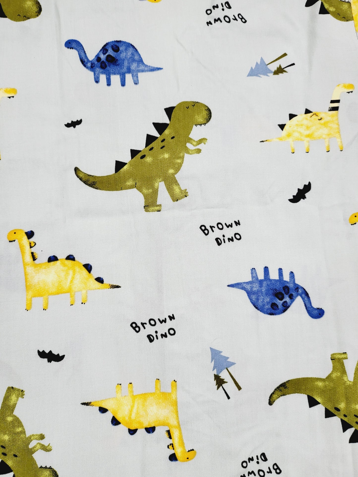 Dinosaur themed kidswear apparel