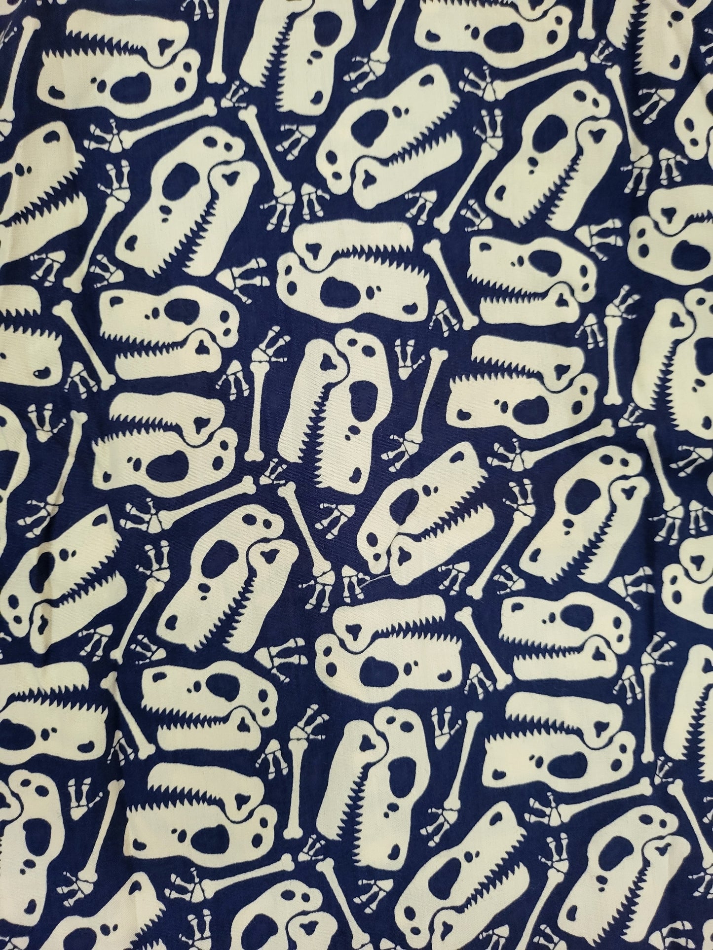 Spooky Skeleton printed Blue and White Infant Set